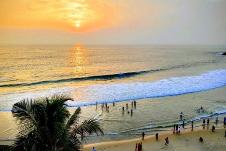 Cochin, Alleppey, Varkala, & Kovalam Tour