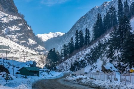 Srinagar Sonamarg Pahalgam Gulmarg Tour